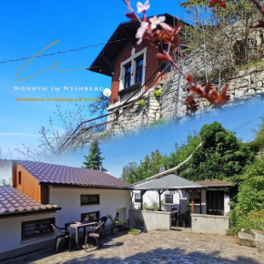 Große Reblaus - Wohnen im Weinberg in der Toskana des Nordens